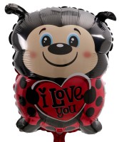 Vorschau: Ballon Bouquet "Marienkäfer mit Herzen" mit Grußkarte Vorschau: Ballon Bouquet "Marienkäfer mit Herzen" mit Grußkarte