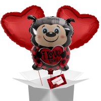 Vorschau: Ballon Bouquet "Marienkäfer mit Herzen" mit Grußkarte Vorschau: Ballon Bouquet "Marienkäfer mit Herzen" mit Grußkarte